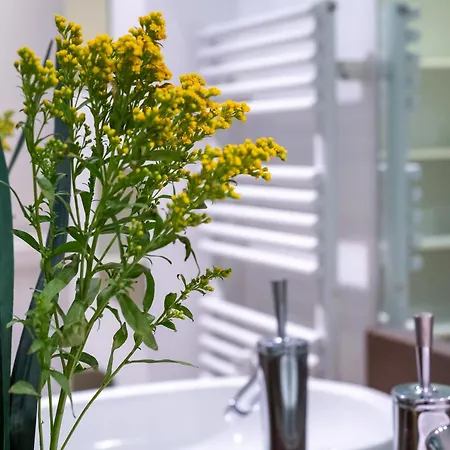 Daire Iflat Lina Cavalieri House